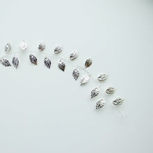 Load image into Gallery viewer, Everleigh